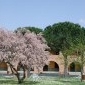 GLI ARCHI - Foto 2