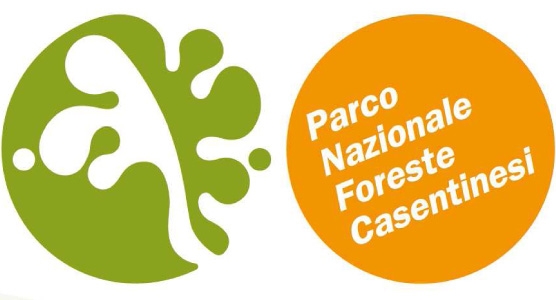 Eventi e attività nel Parco Nazionale Foreste Casentinesi