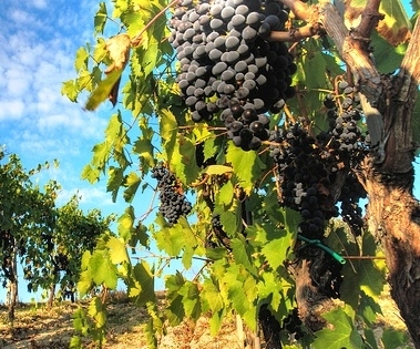 La Toscana d'autunno