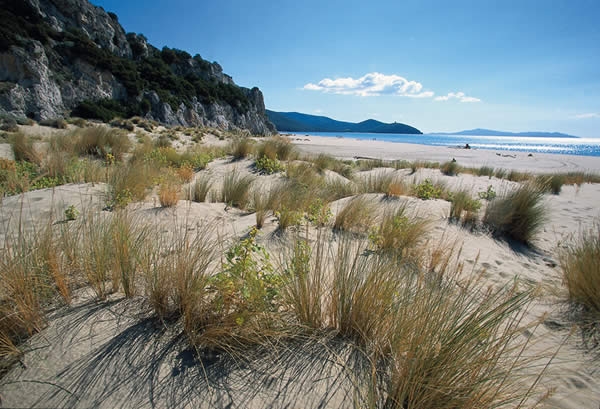 Beaches in Tuscany